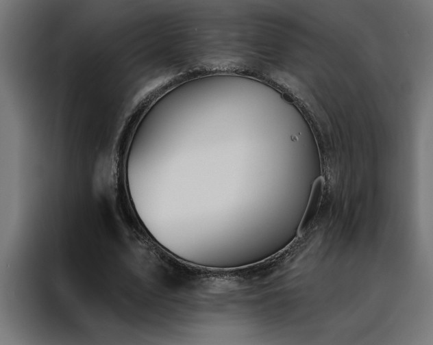 X0000088490583200705221429