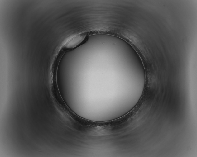 X0000088490584200705221429