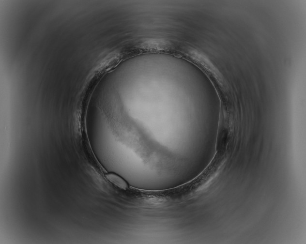 X0000088490585200705221429