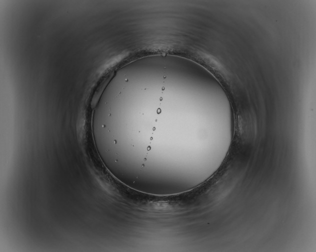 X0000088490588200705221429
