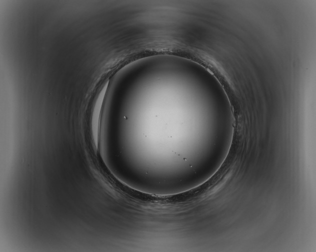 X0000088490589200705221429