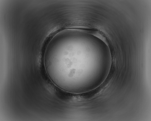 X0000088490591200705221429