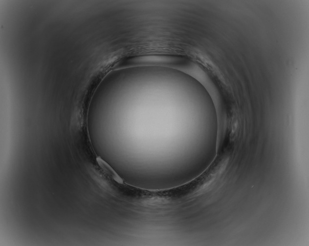 X0000088490593200705221429