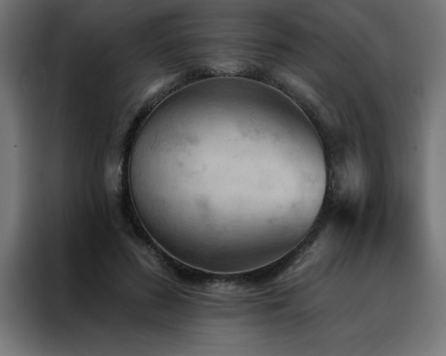 X0000088490596200705221429
