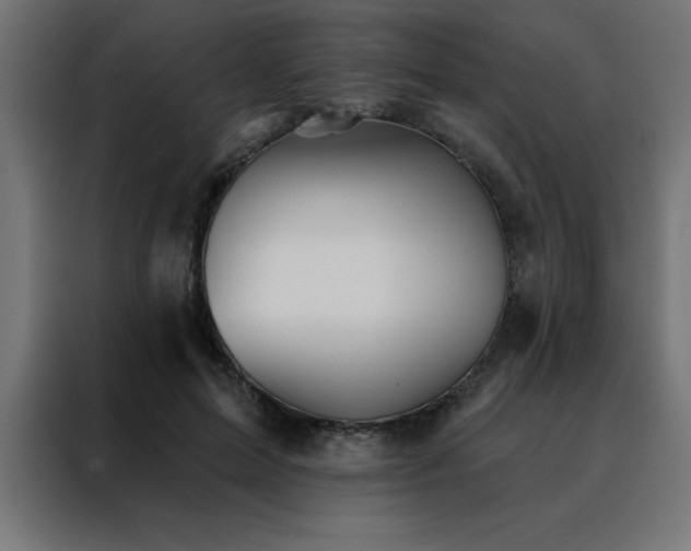X0000088490599200705221428
