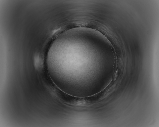 X0000088490600200705221428