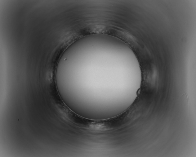 X0000088490602200705221428