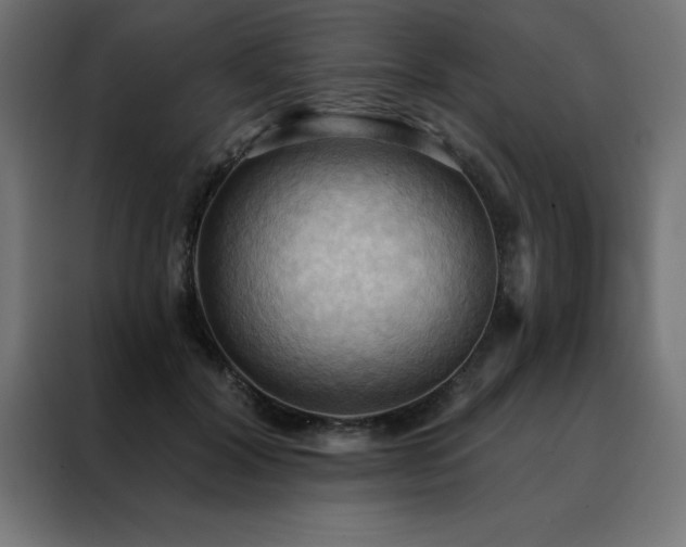 X0000088490604200705221428