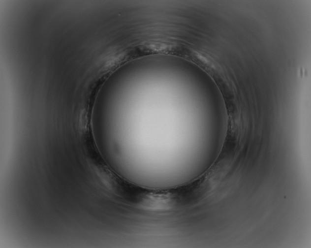 X0000088490606200705221428