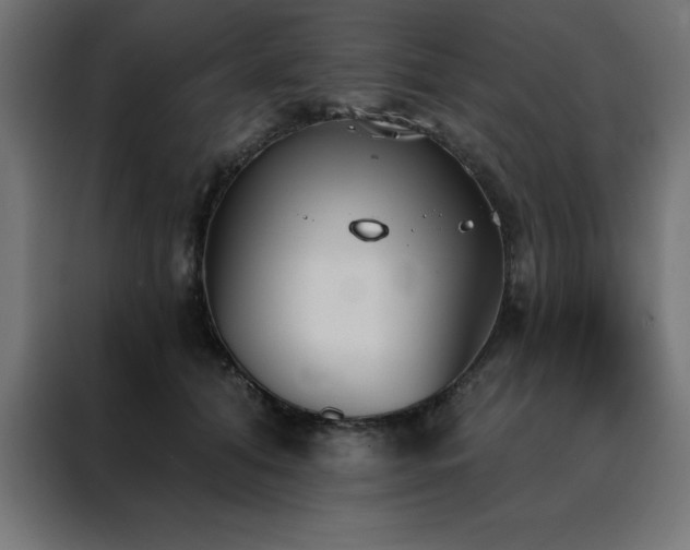 X0000088490608200705221428