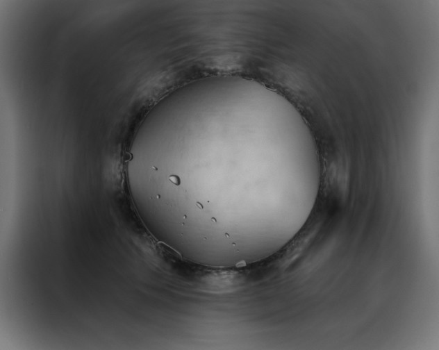X0000088490609200705221428