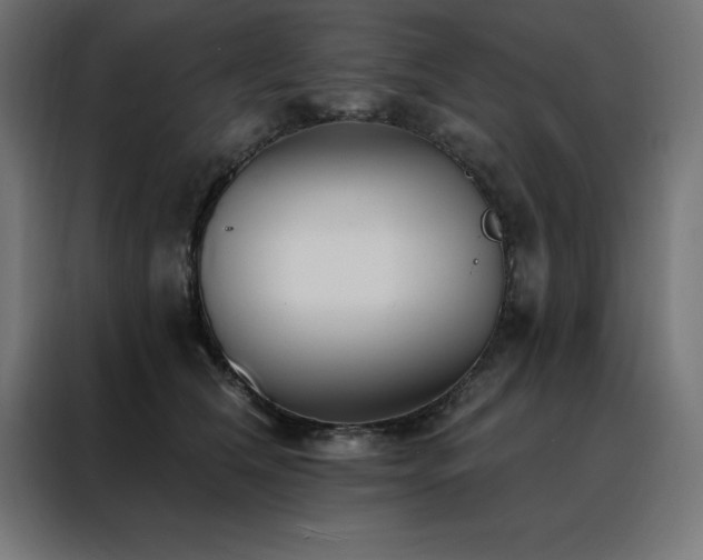 X0000088490612200705221428