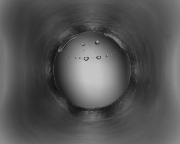 X0000088490615200705221428
