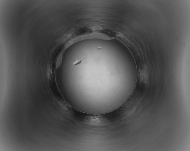 X0000088490618200705221428