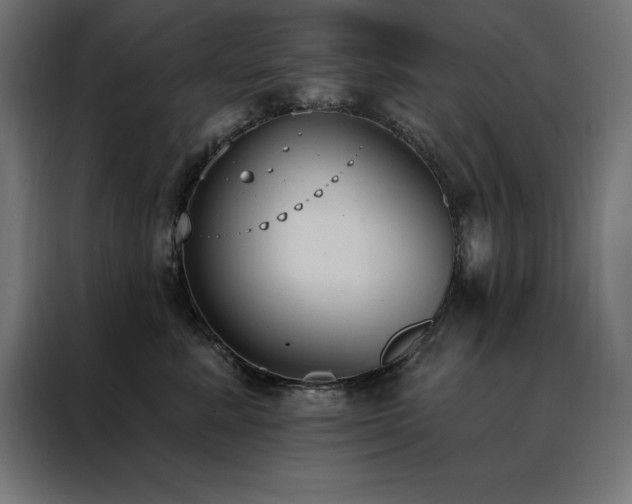 X0000088490619200705221428