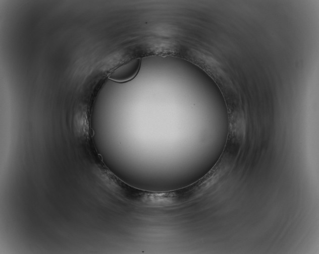 X0000088490622200705221428