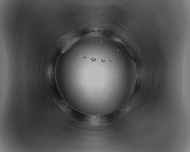 X0000088490623200705221428