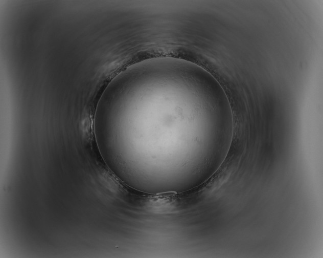 X0000088490624200705221428