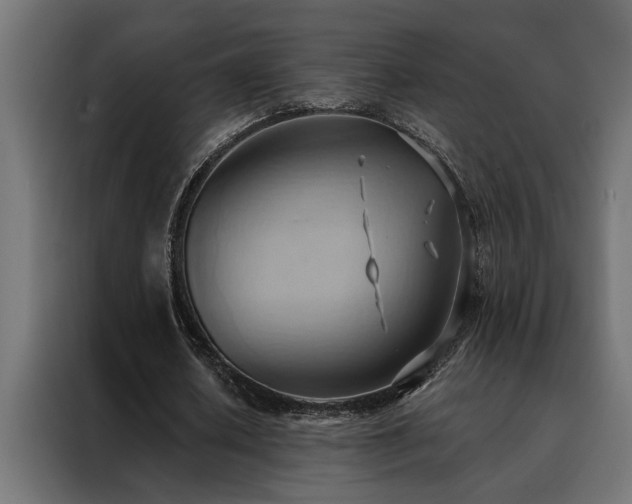 X0000088490626200705221427