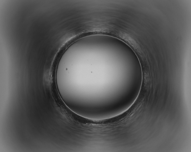 X0000088490628200705221427