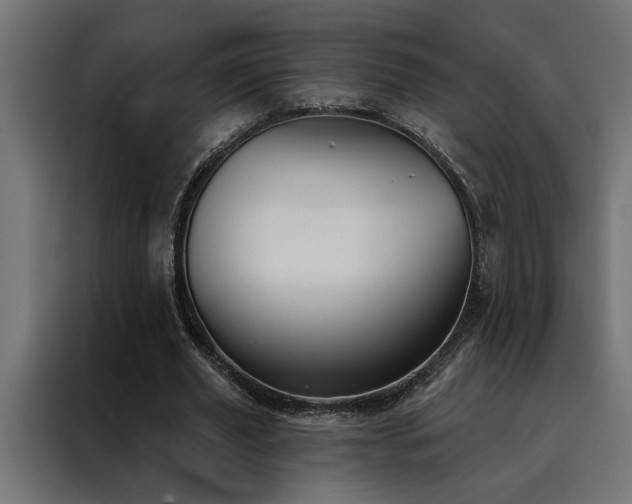 X0000088490629200705221427