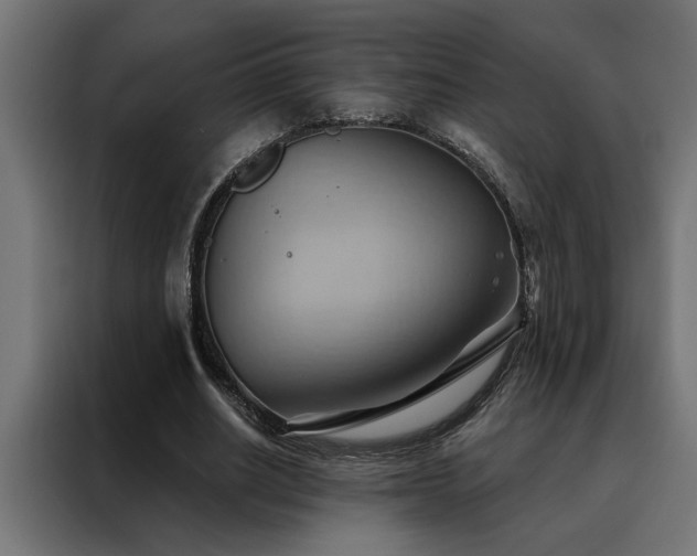 X0000088490630200705221427