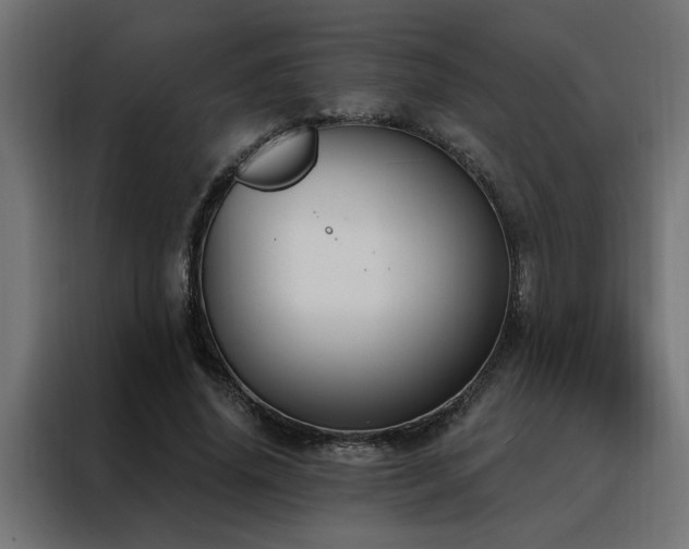 X0000088490636200705221427
