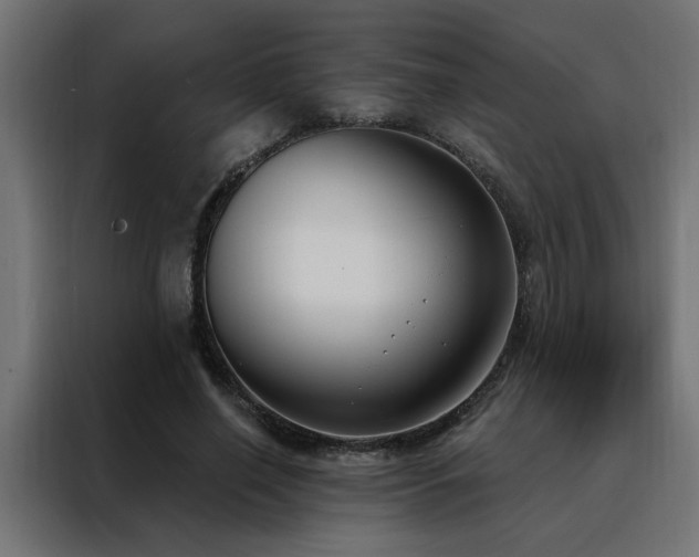 X0000088490638200705221428
