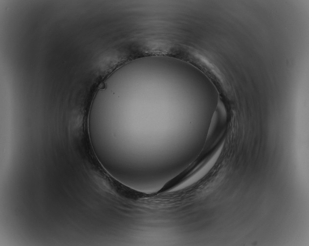 X0000088490641200705221428