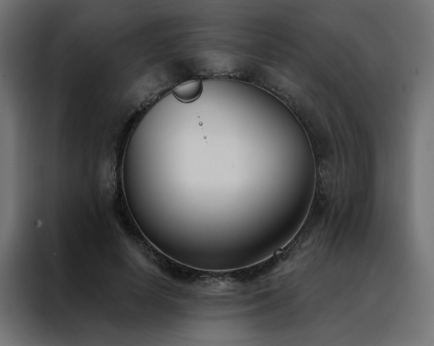 X0000088490642200705221428