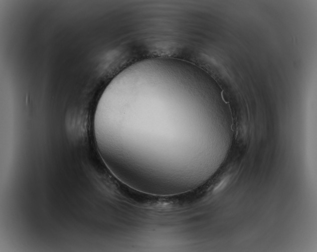 X0000088490647200705221428