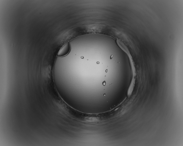 X0000088490649200705221428