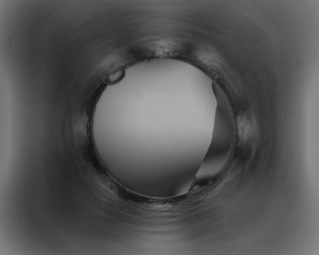 X0000088490650200705221428