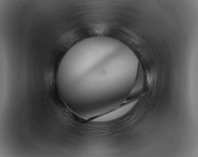 X0000088490651200705221428