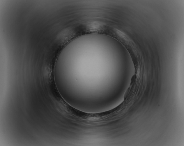 X0000088490653200705221428