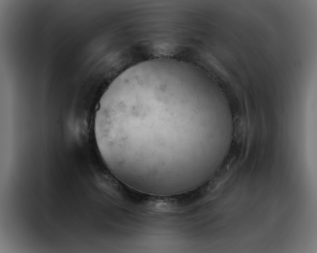 X0000088490655200705221428