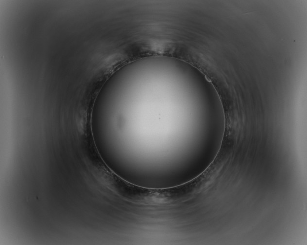 X0000088490656200705221428