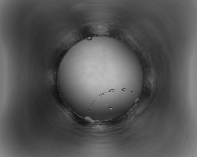 X0000088490658200705221428