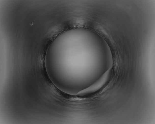 X0000088490661200705221428