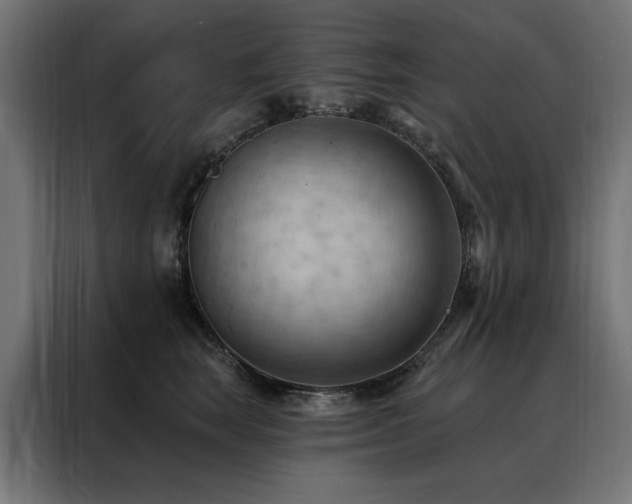X0000088490663200705221428