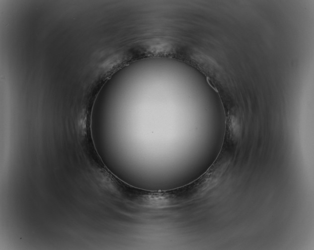 X0000088490668200705221428