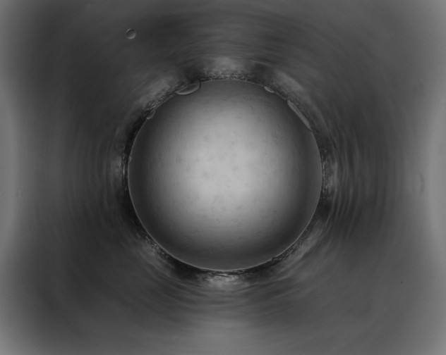 X0000088490669200705221428