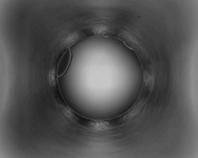 X0000088490670200705221428