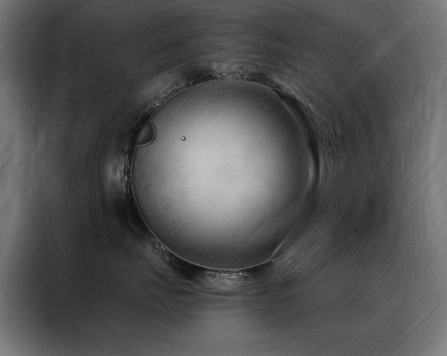 X0000088490671200705221428