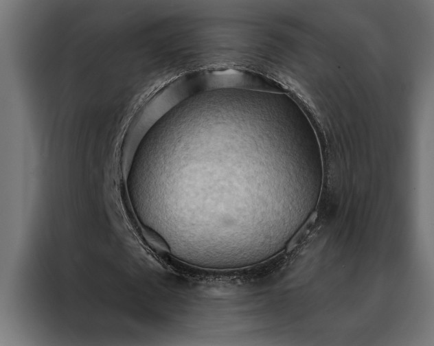 X0000088490673200705221427