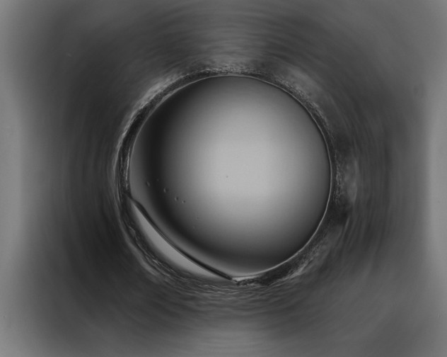 X0000088490674200705221427