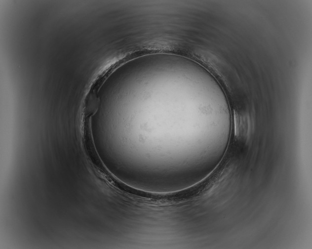 X0000088490675200705221427