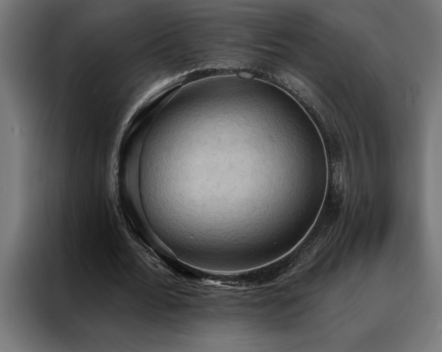 X0000088490676200705221427