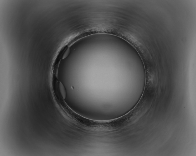 X0000088490678200705221427