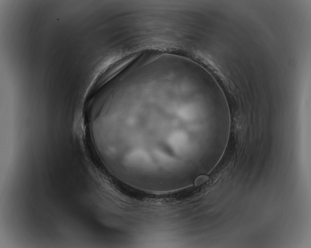 X0000088490679200705221427